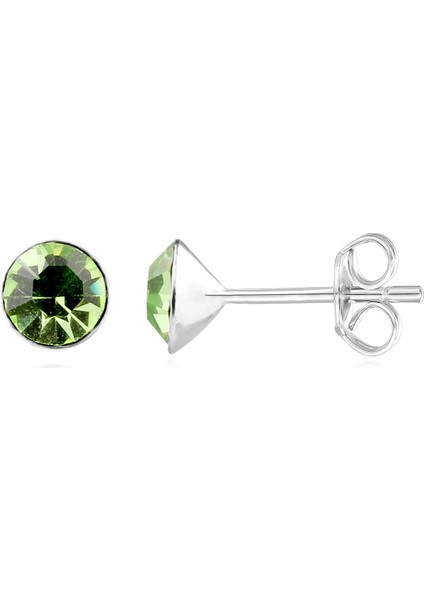 Kadın Gümüş Peridot Taş Burç Küpesi