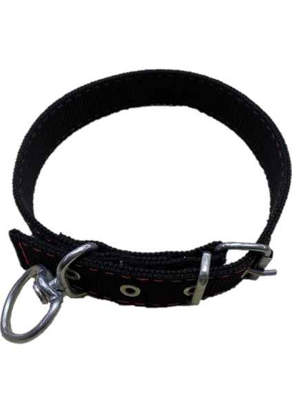 Kedi - Köpek Boyun Tasması 50 cm