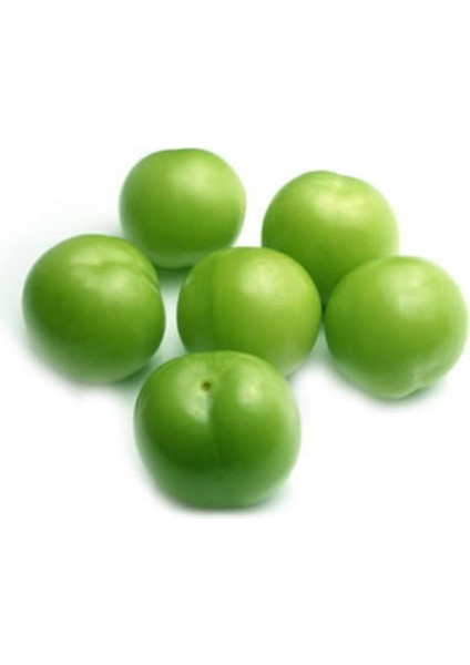 MANAV ERIK PAPAZ 500 gr