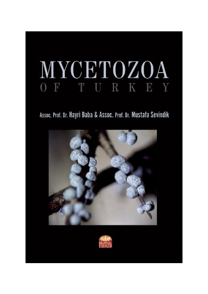 Mycetozoa Of Turkey