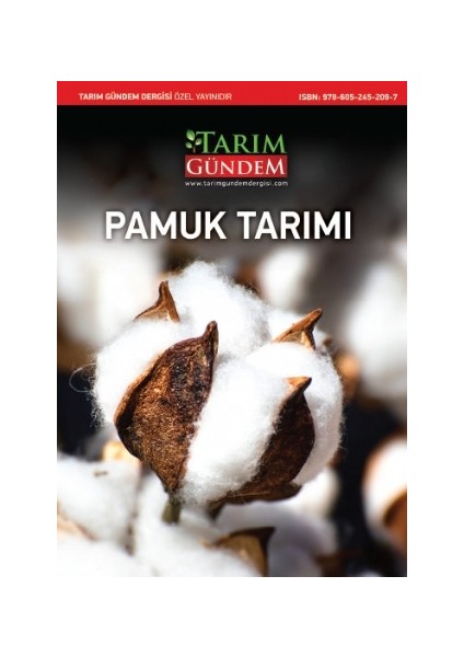 Pamuk Tarımı