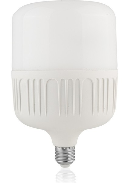 LED Torch Ampul Beyaz 50W