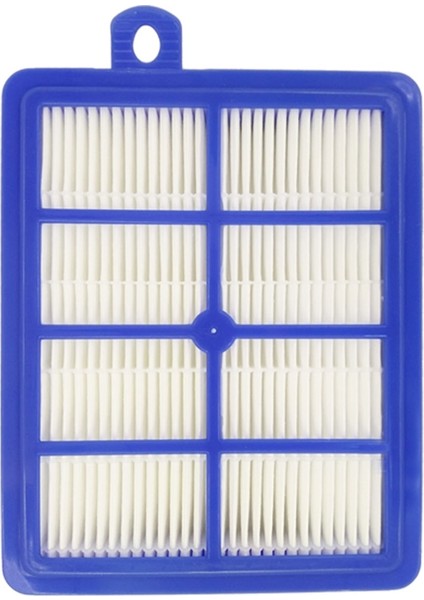 Philips Uyumlu Fc 9925 Marathon Ultimate Süpürge Ön ve Hepa Filtresi modelleri