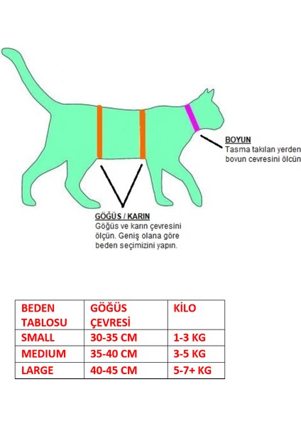 Kedi Köpek Tasma Seti Isme Özel