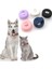 Airtag Kedi ve Köpek Tasması Kılıfı 2