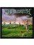 Megadeth Youthanasia Albüm Arma Peç Patch Yama 1