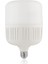 LED Torch Ampul Beyaz 50W 2