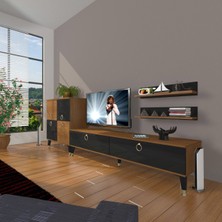 Decoraktiv Eko On Mdf Std Gold Tv Ünitesi Tv Sehpası - Ceviz - Siyah