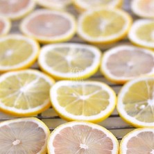 Egeye Dönüş Limon Kurusu Meyve Cipsi 1 kg (Ilave Şekersiz)