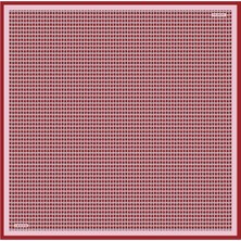 Armine Ipek Eşarp 8401D (Twill) (Nostalji)-80