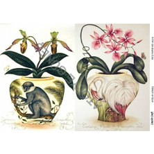 Lineart Pirinç Dekopaj Kağıdı LA-AG10