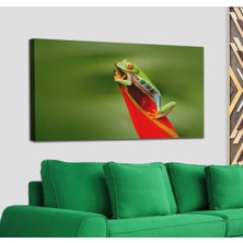 Dünyatablo Renkli Kurbağa  Dekoratif Kanvas Tablo 1136