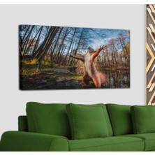 Dünyatablo Sincap Dekoratif Kanvas Tablo 1178