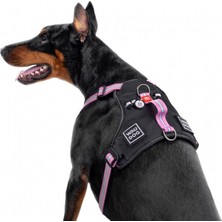 Collar Waudog Fosforlu ve Qr Pasaportlu Köpek Göğüs Tasması L Pembe 25MM