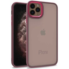 Smcase Apple iPhone 11 Pro Kılıf Flora Sert Silikon Arkası Cam Şeffaf Kırmızı
