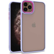 Smcase Apple iPhone 11 Pro Kılıf Flora Sert Silikon Arkası Cam Şeffaf Mor