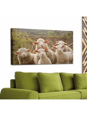 Dünyatablo Koyun Kuzu Dekoratif Kanvas Tablo 1119