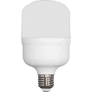 20W Jumbo Torch Led Ampul E-27 Beyaz Işık
