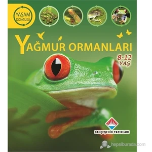 Yaşam Döngüsü: Yağmur Ormanları - (Yeryüzü Ekosistemlerini Keşfedelim)-Sean Callery