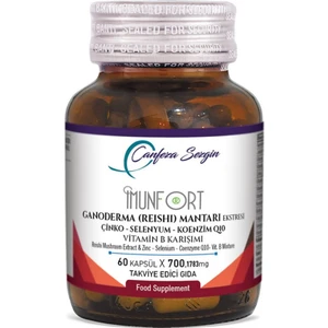 İmunfort Ganoderma (Reishi) Mantarı Ekstresi  Çinko  Selenyum  Koenzim Q10 Vitamin B Karışımı