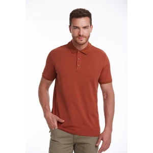Erkek Kiremit Regular Fit %100 Pamuk Polo Yaka Tişört