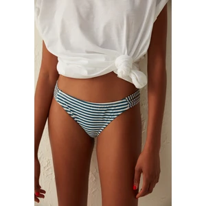 Çok Renkli Aster Chic Bikini Altı