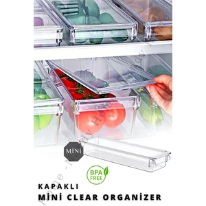 Nandy Home Kapaklı Mini New Clear Buzdolabı & Dolap Içi Düzenleyici Organizer