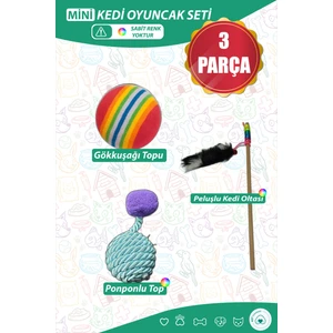Ast Gross Pet Mini Kedi Oyuncak Seti Kedi Oyuncağı Top Kedi Oltası