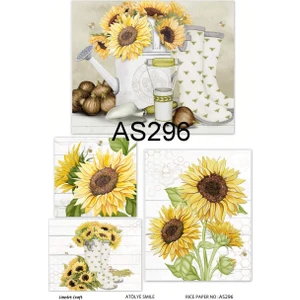 Pirinç Dekopaj Kağıdı LA-AS296