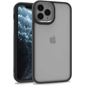 Apple iPhone 12 Pro Kılıf Flora Sert Silikon Arkası Cam Şeffaf Siyah