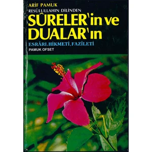 Resulullahın Dilinden Sureler'in ve Dualar'ın Esrarı Hikmeti Fazileti