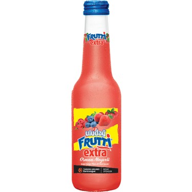 ULUDAĞ FURİTTİ EXTRA 250 ML * 24 ADET ORMAN MEYVELİ