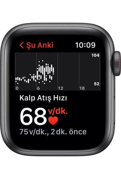 Apple Watch Se Gps + Cellular, 40MM Uzay Grisi Alüminyum Kasa ve Siyah Spor Kordon - MKR23TU/A