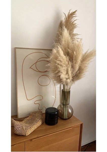 Pampas 10'lu Natural Çiçek