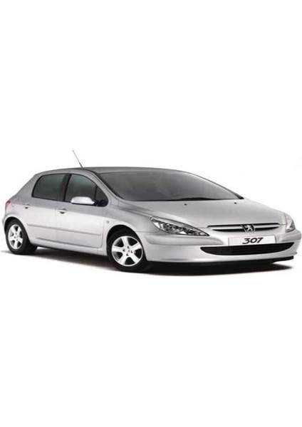 Peugeot 307 Coupe Grup G7 Araca Özel Branda
