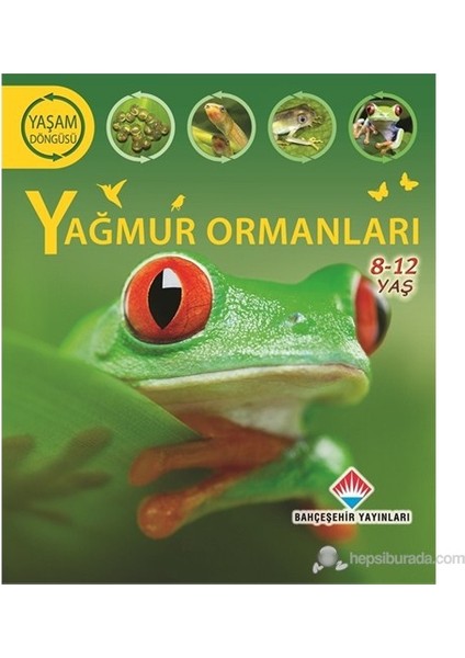 Yaşam Döngüsü: Yağmur Ormanları - (Yeryüzü Ekosistemlerini Keşfedelim)-Sean Callery