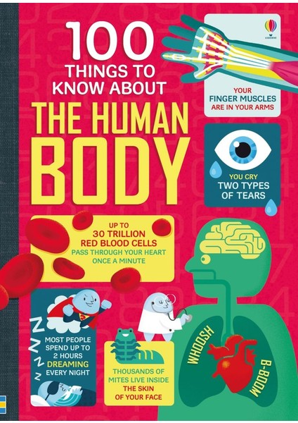 100 Things To Know About The Human Body