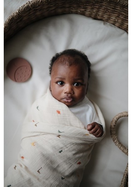 Organik Müslin Örtü / Kundak - Dinosaurs modelleri