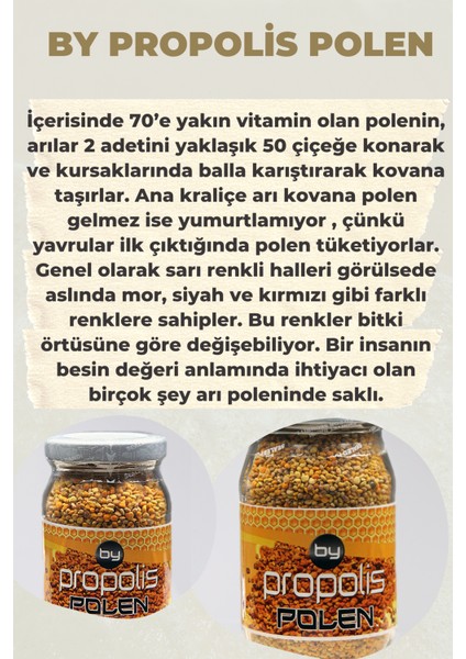 By Propolis Polen 200gr Doğal Cam Şişede Taze Doğal Arı Poleni