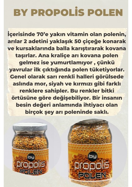 By Propolis Polen 100gr Doğal Cam Şişede Taze Doğal Arı Poleni