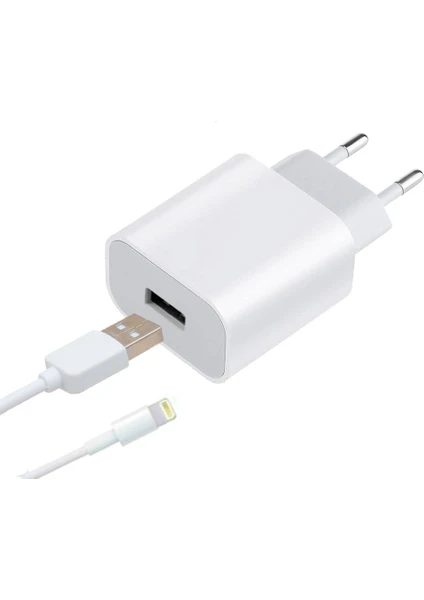 Smart Tech Apple Iphone 18 Watt USB Şarj Cihazı USB To Lightning Kablo Set