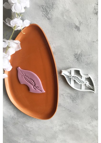 Tırtıllı Yaprak Hamur Şekillendirici