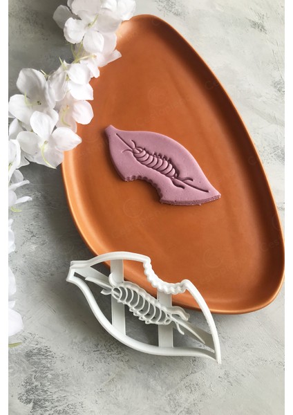 Tırtıllı Yaprak Hamur Şekillendirici fiyatları