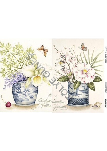 Pirinç Dekopaj Kağıdı LA-AG09