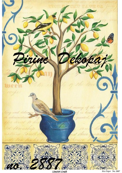 Pirinç Dekopaj Kağıdı LA-2887