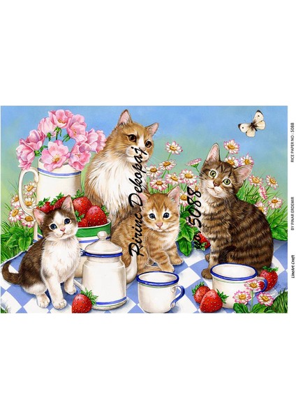 Pirinç Dekopaj Kağıdı LA-5088