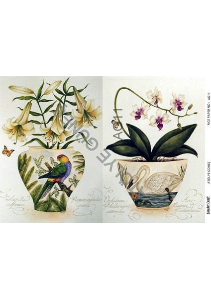 Pirinç Dekopaj Kağıdı LA-AG11