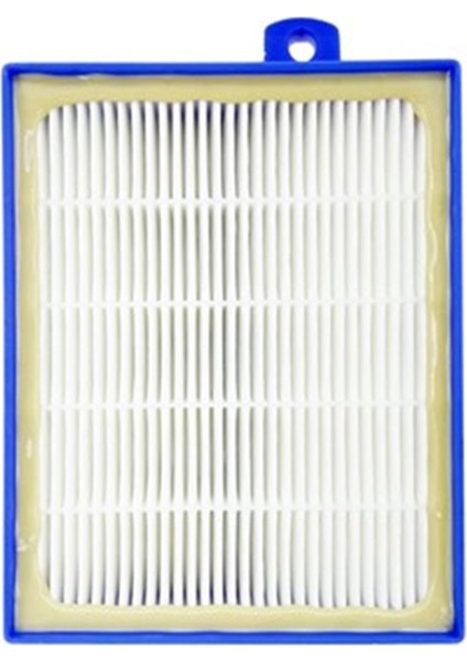 Arnica Uyumlu ET14402 Süpürge Hazne Motor Koruma Filtresi ve Hepa Filtre fırsatları