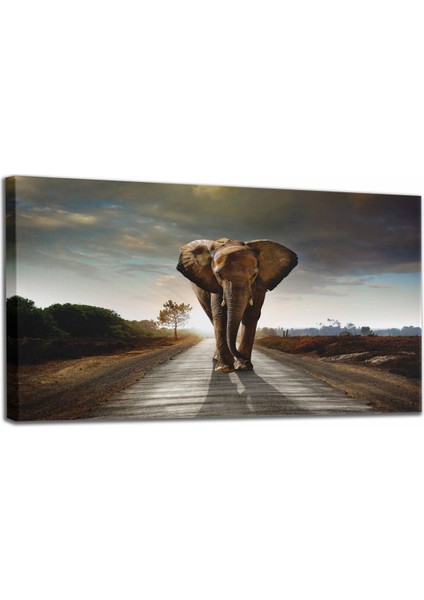 Fil Dekoratif Kanvas Tablo 1118 fiyatları