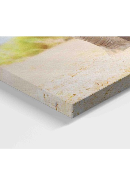 Fil ve Yavrusu Dekoratif Kanvas Tablo 1144 modelleri